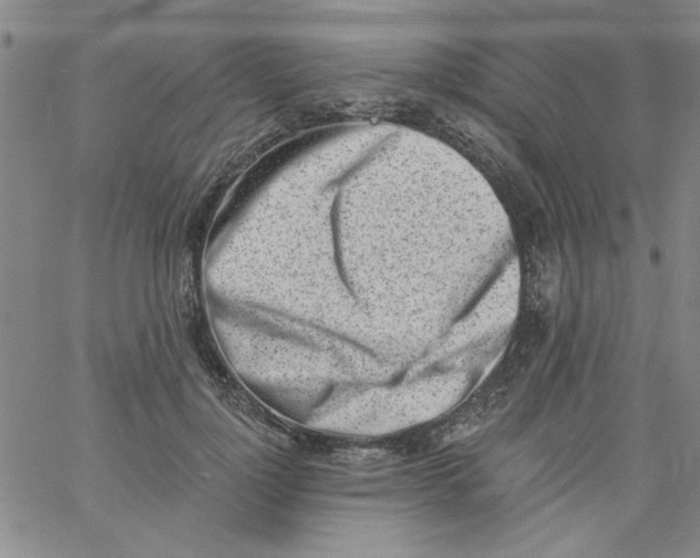 X0000061730748200512231434