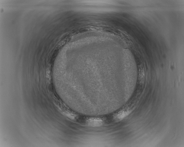 X0000061730749200512231434