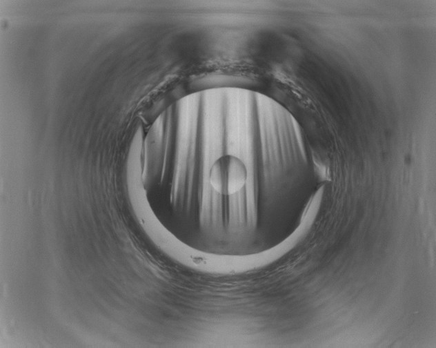 X0000061730750200512231434