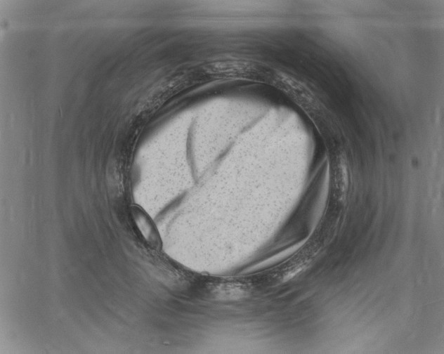 X0000061730751200512231434