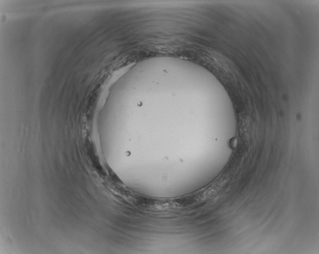 X0000061730752200512231434