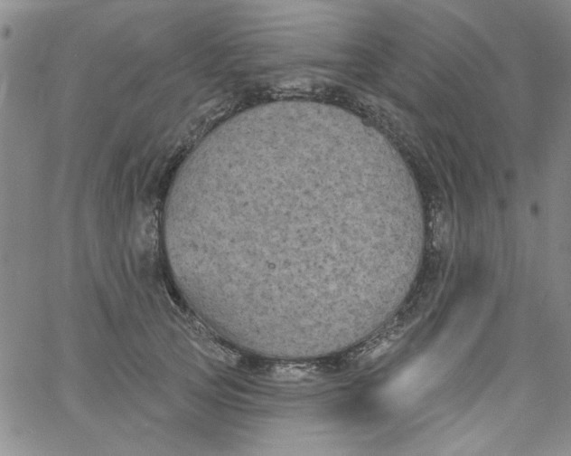 X0000061730753200512231434