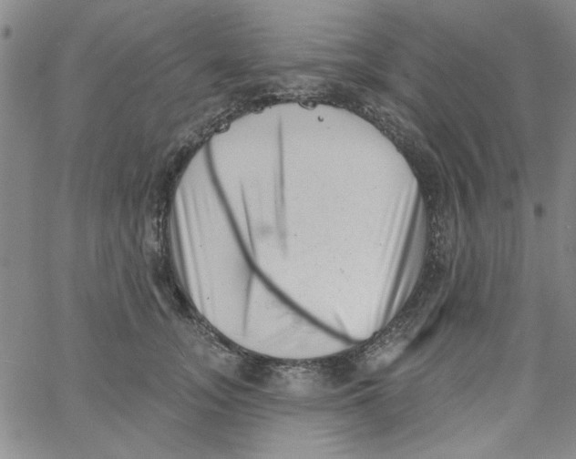 X0000061730755200512231434