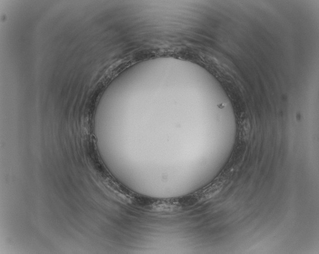 X0000061730756200512231434