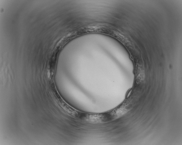 X0000061730758200512231434