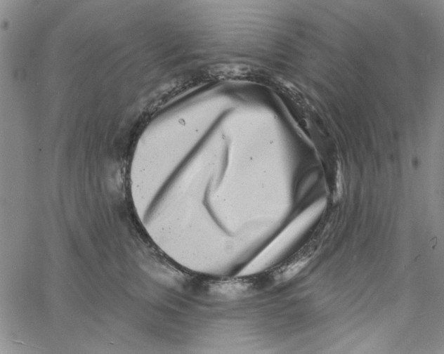 X0000061730759200512231434