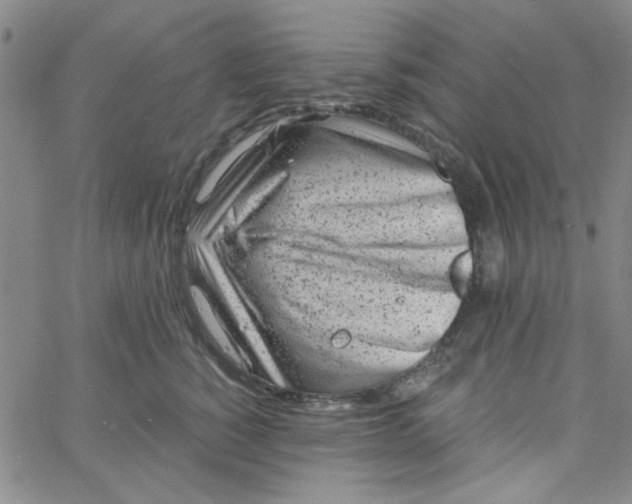 X0000061730760200512231434