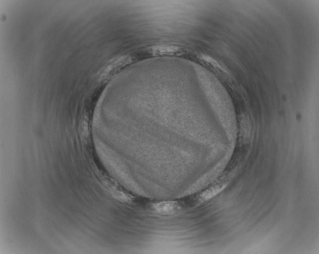 X0000061730761200512231434