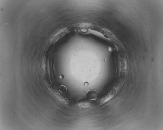 X0000061730762200512231434