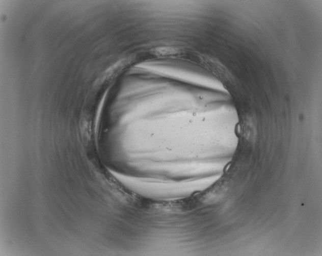 X0000061730763200512231434