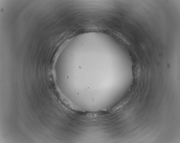 X0000061730764200512231434