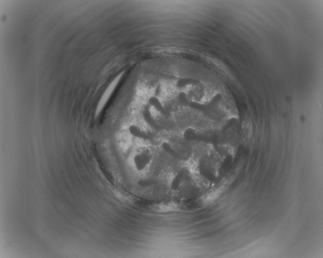 X0000061730765200512231434