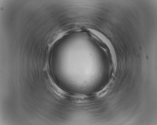 X0000061730766200512231434