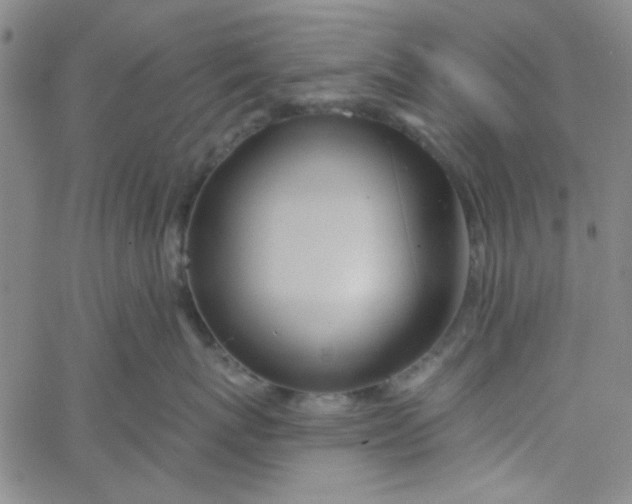 X0000061730767200512231434