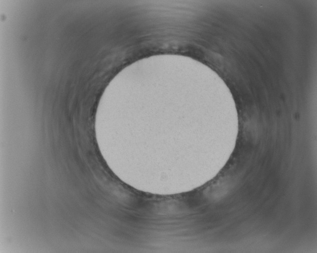 X0000061730769200512231434