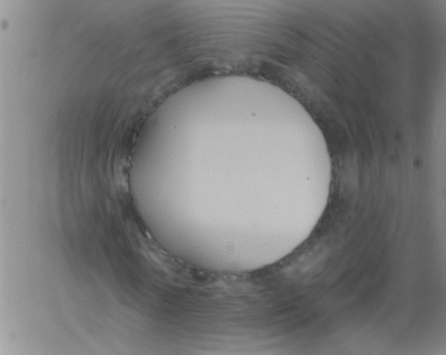 X0000061730770200512231434