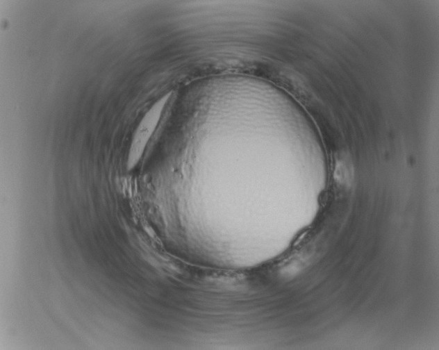 X0000061730771200512231434