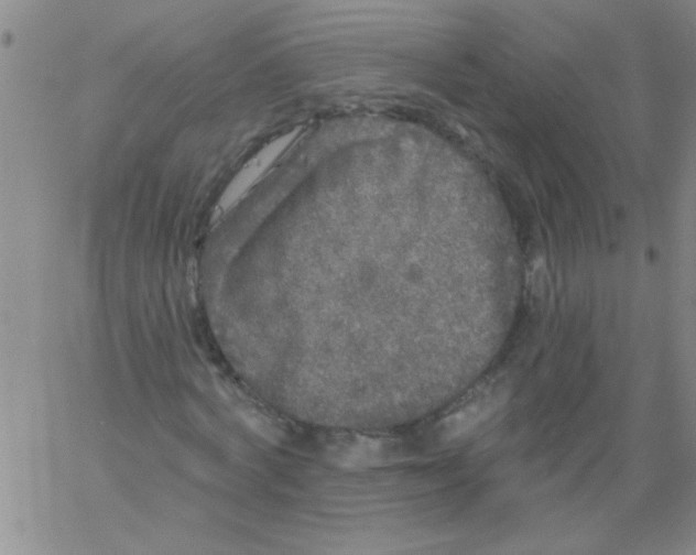 X0000061730772200512231434