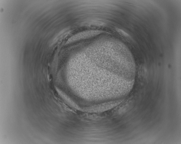 X0000061730774200512231434