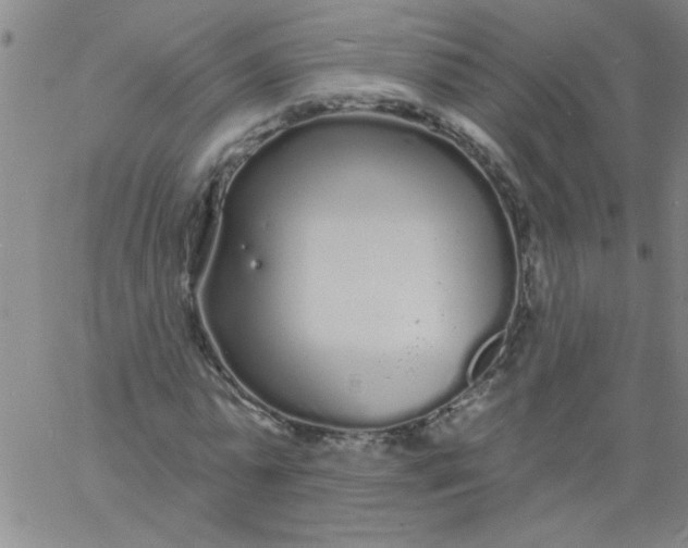 X0000061730775200512231434