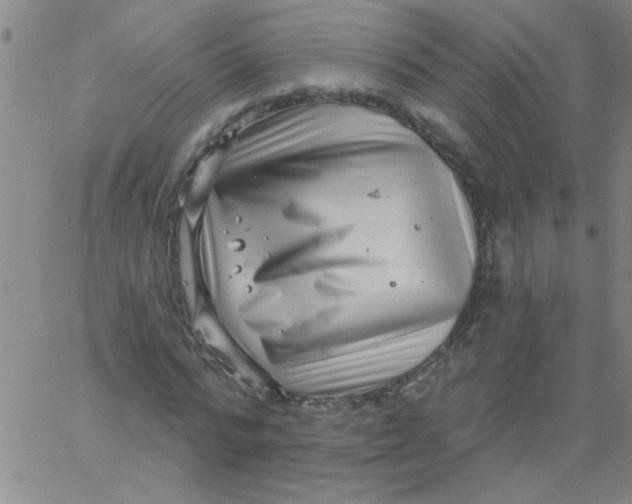 X0000061730776200512231434