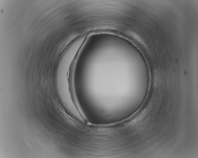 X0000061730777200512231433