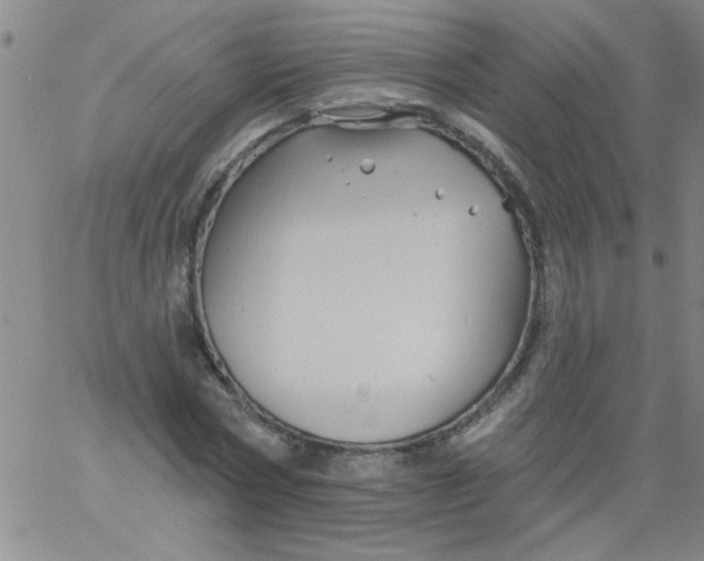 X0000061730778200512231433