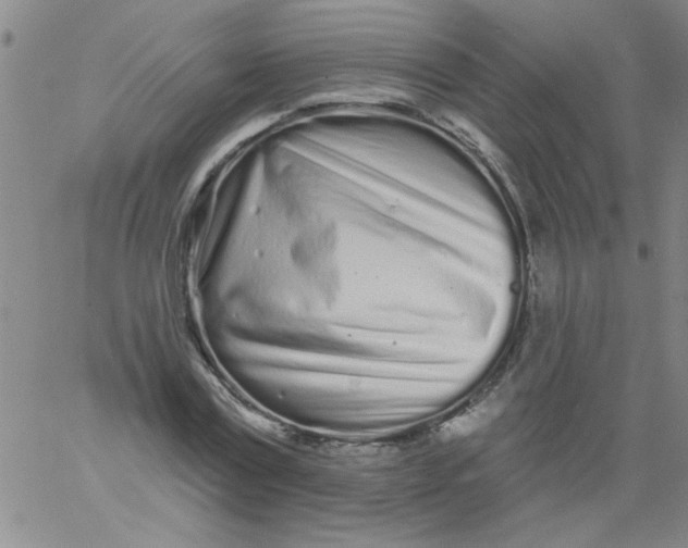 X0000061730779200512231433