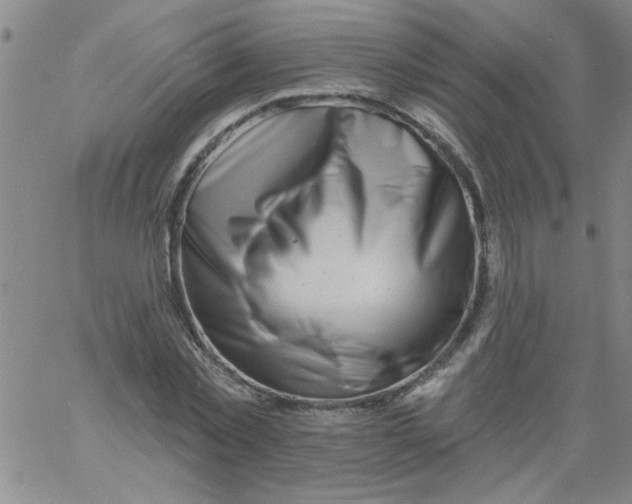 X0000061730781200512231433