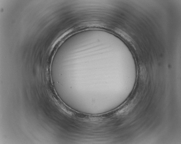 X0000061730782200512231433