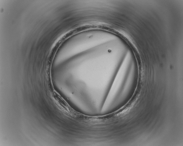 X0000061730783200512231433