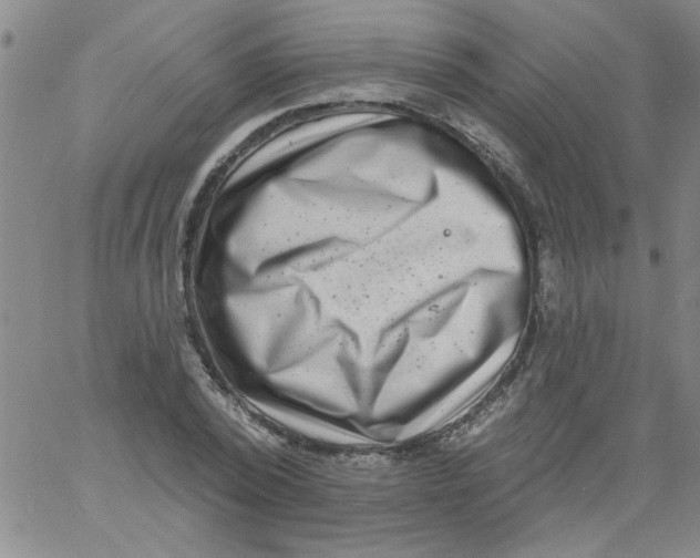 X0000061730784200512231433