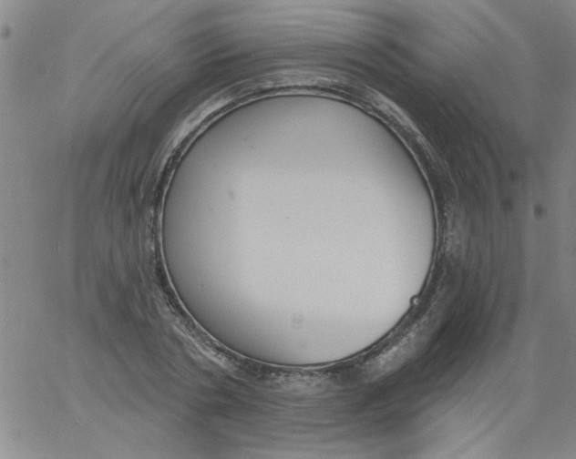 X0000061730786200512231433