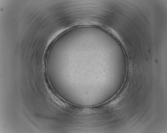 X0000061730787200512231433