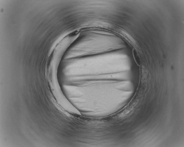 X0000061730788200512231433