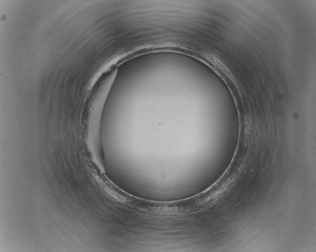 X0000061730789200512231433