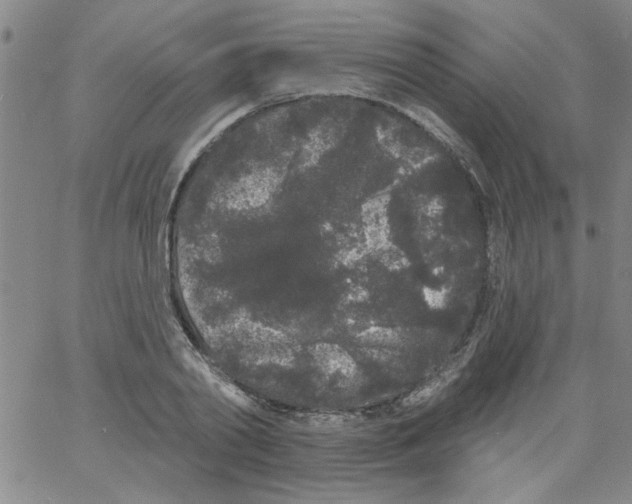 X0000061730790200512231433