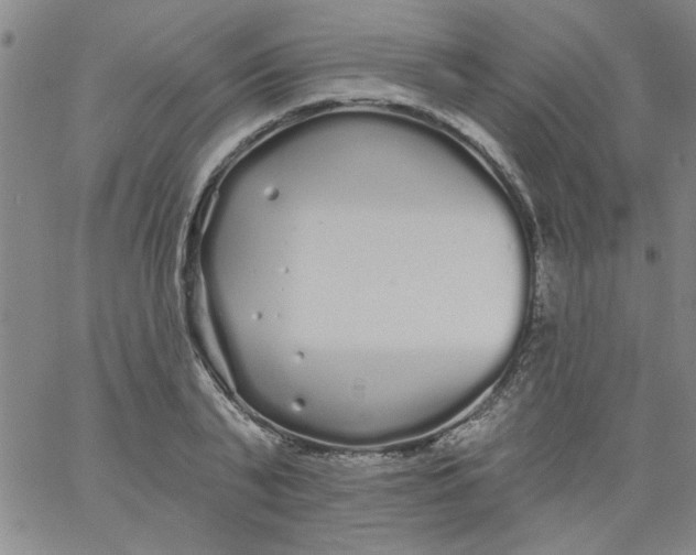 X0000061730791200512231433