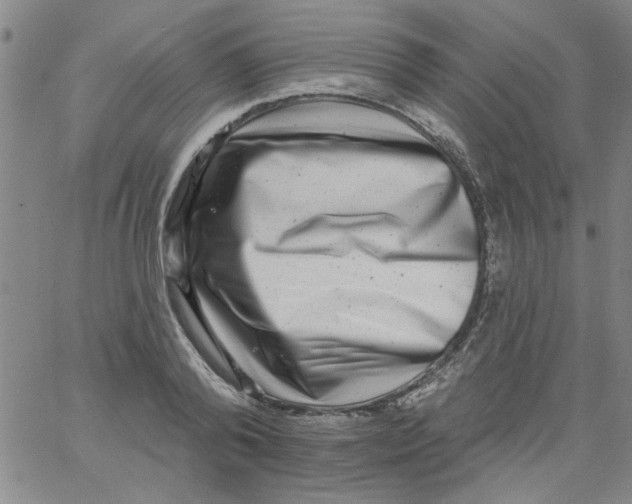 X0000061730792200512231433