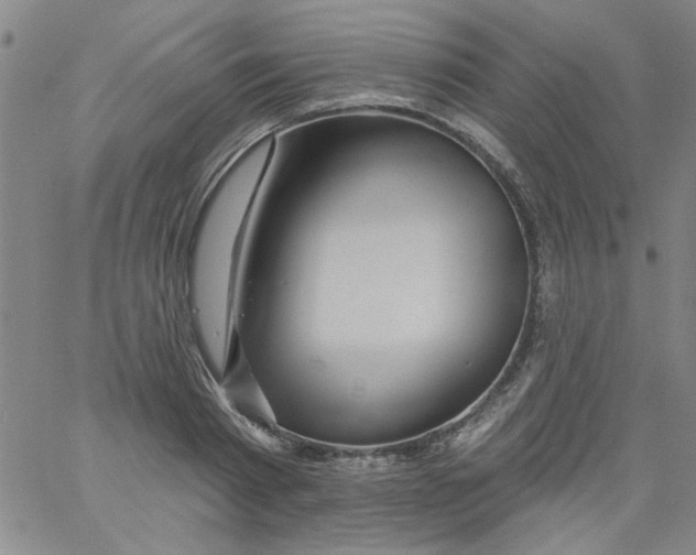 X0000061730793200512231433