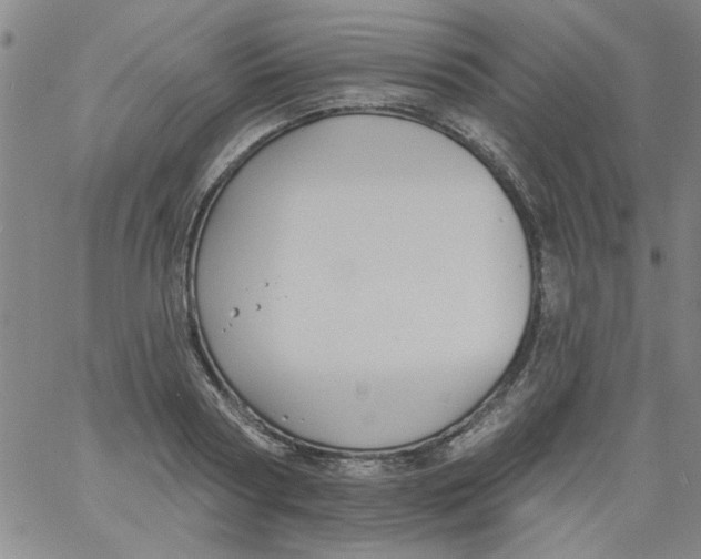 X0000061730794200512231433