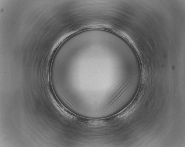 X0000061730795200512231433