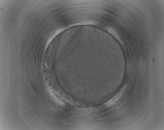 X0000061730797200512231433