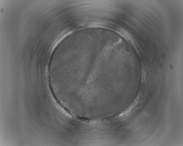 X0000061730798200512231433