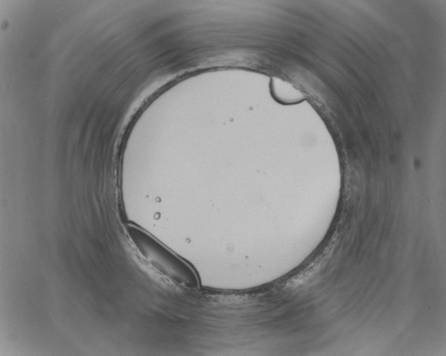 X0000061730800200512231433