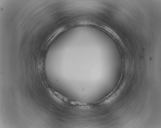 X0000061730801200512231433