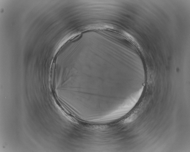 X0000061730802200512231433