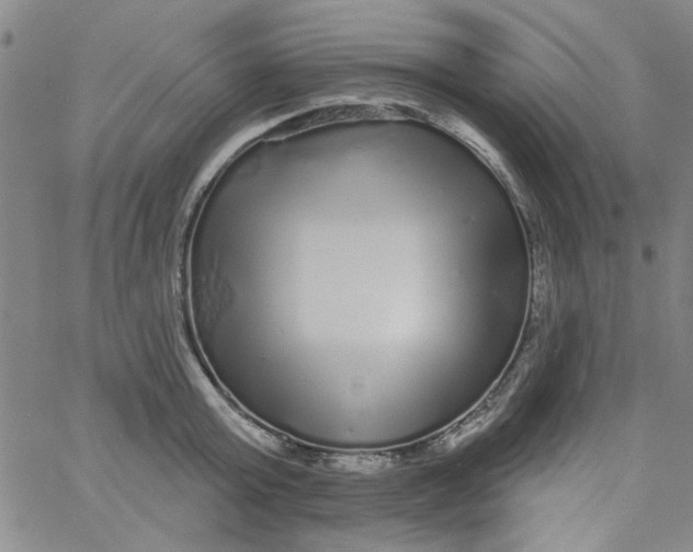 X0000061730803200512231433