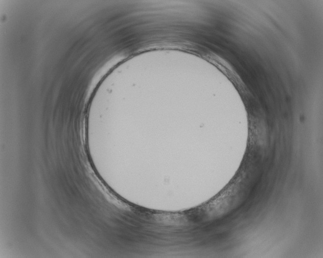 X0000061730804200512231433