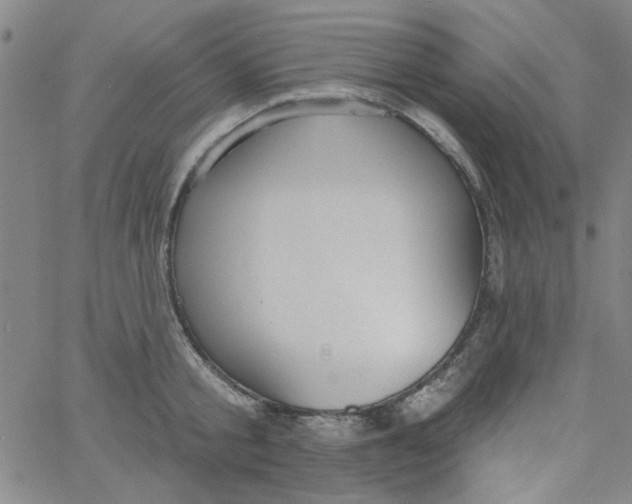 X0000061730805200512231433